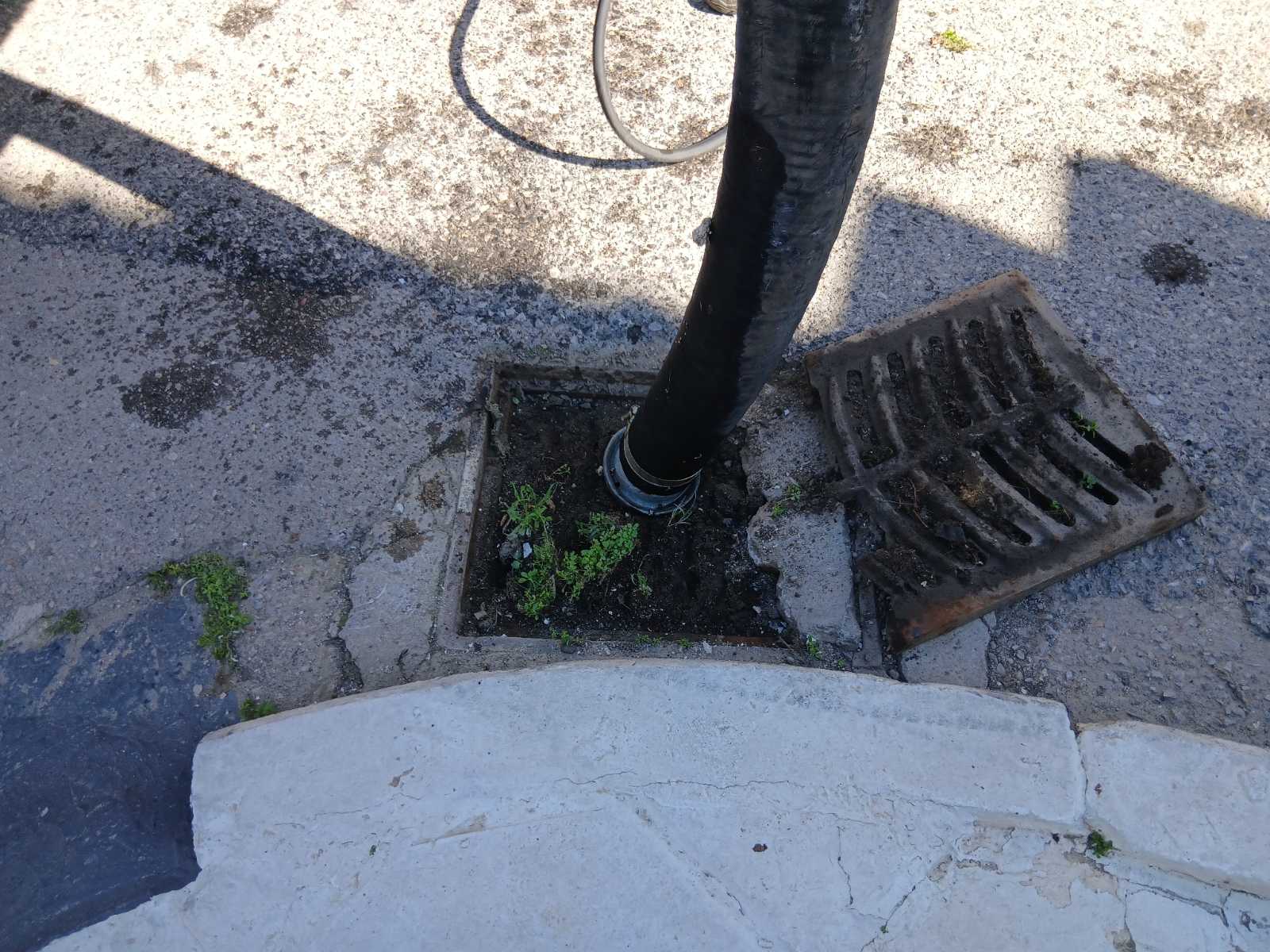 viber_image_2026-02-26_14-13-32-484